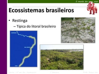 O mundo dos seres vivos




Ecossistemas brasileiros
• Restinga
      – Típica do litoral brasileiro




Ciências – 6º ano Ens. Fundamental   1º Bimestre          Profa. Rebeca Vale
 