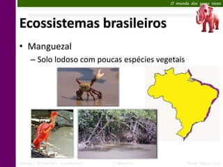 O mundo dos seres vivos




Ecossistemas brasileiros
• Manguezal
      – Solo lodoso com poucas espécies vegetais




Ciências – 6º ano Ens. Fundamental   1º Bimestre          Profa. Rebeca Vale
 
