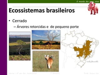 O mundo dos seres vivos




Ecossistemas brasileiros
• Cerrado
      – Árvores retorcidas e de pequeno porte




Ciências – 6º ano Ens. Fundamental   1º Bimestre          Profa. Rebeca Vale
 