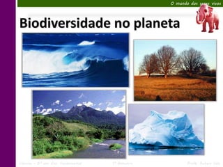 O mundo dos seres vivos




Biodiversidade no planeta




Ciências – 6º ano Ens. Fundamental   1º Bimestre          Profa. Rebeca Vale
 