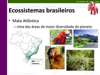 O mundo dos seres vivos




Ecossistemas brasileiros
• Mata Atlântica
      – Uma das áreas de maior diversidade do planeta




Ciências – 6º ano Ens. Fundamental   1º Bimestre          Profa. Rebeca Vale
 