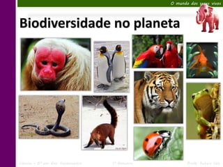 O mundo dos seres vivos




Biodiversidade no planeta




Ciências – 6º ano Ens. Fundamental   1º Bimestre          Profa. Rebeca Vale
 