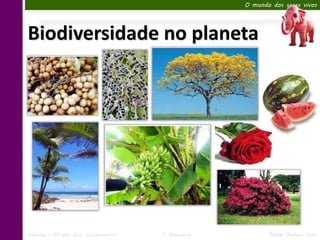 O mundo dos seres vivos




Biodiversidade no planeta




Ciências – 6º ano Ens. Fundamental   1º Bimestre          Profa. Rebeca Vale
 