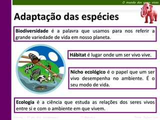O mundo dos seres vivos




Adaptação das espécies
 Biodiversidade é a palavra que usamos para nos referir a
 grande variedade de vida em nosso planeta.


                                     Hábitat é lugar onde um ser vivo vive.


                                     Nicho ecológico é o papel que um ser
                                     vivo desempenha no ambiente. É o
                                     seu modo de vida.


 Ecologia é a ciência que estuda as relações dos seres vivos
 entre si e com o ambiente em que vivem.
Ciências – 6º ano Ens. Fundamental        1º Bimestre               Profa. Rebeca Vale
 