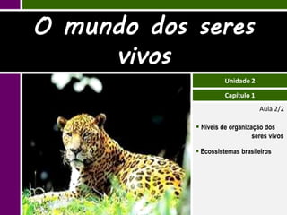 O mundo dos seres
     vivos
                     Unidade 2

                      Capítulo 1
                                   Aula 2/2

             Níveis de organização dos
                               seres vivos

             Ecossistemas brasileiros
 