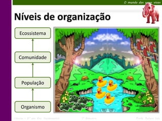 O mundo dos seres vivos




Níveis de organização
    Ecossistema



   Comunidade



     População



     Organismo
Ciências – 6º ano Ens. Fundamental   1º Bimestre          Profa. Rebeca Vale
 