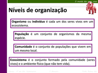 O mundo dos seres vivos




Níveis de organização
    Organismo ou indivíduo é cada um dos seres vivos em um
    ecossistema.

        População é um conjunto de organismos da mesma
        espécie.

        Comunidade é o conjunto de populações que vivem em
        um mesmo local.

  Ecossistema é o conjunto formado pela comunidade (seres
  vivos) e o ambiente físico (que não tem vida).

Ciências – 6º ano Ens. Fundamental   1º Bimestre          Profa. Rebeca Vale
 