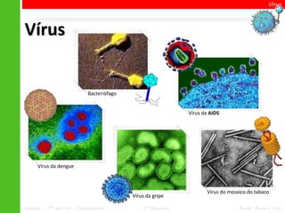Vírus




Vírus


                           Bacteriófago


                                                            Vírus da AIDS




     Vírus da dengue



                                                                   Vírus do mosaico do tabaco
                                          Vírus da gripe

Ciências – 7º ano Ens. Fundamental            1º Bimestre                       Profa. Rebeca Vale
 