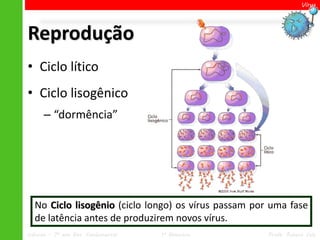 Vírus




Reprodução
• Ciclo lítico
• Ciclo lisogênico
      – “dormência”




  No Ciclo lisogênio (ciclo longo) os vírus passam por uma fase
  de latência antes de produzirem novos vírus.
Ciências – 7º ano Ens. Fundamental   1º Bimestre      Profa. Rebeca Vale
 
