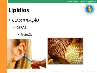 Carboidratos, lipídios e proteínas




Lipídios
• CLASSIFICAÇÃO
     – CERAS
           • Proteção




Ciências – 9º ano Ens. Fundamental   1º Período                  Profa. Rebeca Vale
 