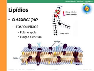 Carboidratos, lipídios e proteínas




Lipídios
• CLASSIFICAÇÃO
     – FOSFOLIPÍDIOS
           • Polar e apolar
           • Função estrutural




Ciências – 9º ano Ens. Fundamental   1º Período                  Profa. Rebeca Vale
 