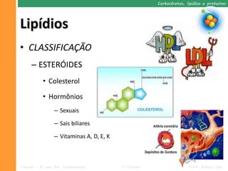 Carboidratos, lipídios e proteínas




Lipídios
• CLASSIFICAÇÃO
     – ESTERÓIDES
           • Colesterol

           • Hormônios
                 – Sexuais

                 – Sais biliares

                 – Vitaminas A, D, E, K



Ciências – 9º ano Ens. Fundamental        1º Período                  Profa. Rebeca Vale
 