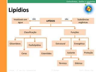 Carboidratos, lipídios e proteínas




Lipídios
      Insolúveis em          são                                 são               Substâncias
                                             LIPÍDIOS
          água                                                                      orgânicas



                   Classificação                                          Funções



 Glicerídeos                                            Estrutural            Energética
                         Fosfolipídios


                Ceras                    Esteróides                   Isolante              Proteção



                                                           Térmico               Elétrico

Ciências – 9º ano Ens. Fundamental                1º Período                         Profa. Rebeca Vale
 