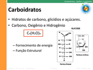 Carboidratos, lipídios e proteínas




Carboidratos
• Hidratos de carbono, glicídios e açúcares.
• Carbono, Oxigênio e Hidrogênio
                        Cn(H2O)n

     – Fornecimento de energia
     – Função Estrutural



Ciências – 9º ano Ens. Fundamental   1º Período                  Profa. Rebeca Vale
 
