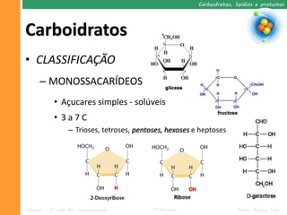 Carboidratos, lipídios e proteínas




Carboidratos
• CLASSIFICAÇÃO
     – MONOSSACARÍDEOS
           • Açucares simples - solúveis
           • 3a7C
                 – Trioses, tetroses, pentoses, hexoses e heptoses




Ciências – 9º ano Ens. Fundamental         1º Período                   Profa. Rebeca Vale
 
