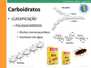 Carboidratos, lipídios e proteínas




Carboidratos
• CLASSIFICAÇÃO
     – POLISSACARÍDEOS
           • Muitos monossacarídeos
           • Insolúveis em água




           Celulose
Ciências – 9º ano Ens. Fundamental   1º Período                  Profa. Rebeca Vale
 