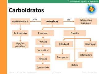 Carboidratos, lipídios e proteínas




Carboidratos
                              são                                 são             Substâncias
    Macromoléculas                            PROTEÍNAS
                                                                                   orgânicas



      Aminoácidos                     Estrutura                         Funções


                                      Primária
        Ligações                                          Estrutural                    Hormonal
       peptídicas
                                     Secundária
                                                                                  Catalisadora
                                                        Transporte
                                      Terciária

                                                                        Defesa
                                     Quaternária
Ciências – 9º ano Ens. Fundamental                 2º Período                       Profa. Rebeca Vale
 