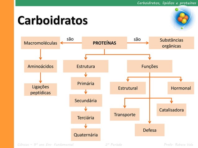II. 2 Carboidratos, lipídios e proteínas | PDF