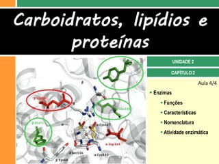 Carboidratos, lipídios e
       proteínas
                            UNIDADE 2

                         CAPÍTULO 2

                                        Aula 4/4
                 Enzimas
                     Funções
                     Características
                     Nomenclatura
                     Atividade enzimática
 