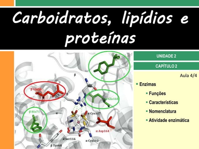 II. 2 Carboidratos, lipídios e proteínas | PDF