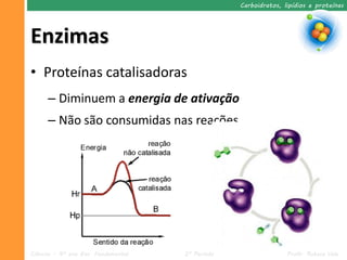 Carboidratos, lipídios e proteínas




Enzimas
• Proteínas catalisadoras
      – Diminuem a energia de ativação
      – Não são consumidas nas reações




Ciências – 9º ano Ens. Fundamental   2º Período                  Profa. Rebeca Vale
 