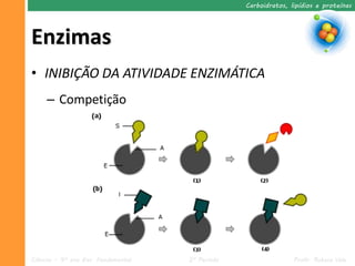 Carboidratos, lipídios e proteínas




Enzimas
• INIBIÇÃO DA ATIVIDADE ENZIMÁTICA
     – Competição




Ciências – 9º ano Ens. Fundamental   2º Período                  Profa. Rebeca Vale
 