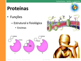 Carboidratos, lipídios e proteínas




Proteínas
• Funções
      – Estrutural e fisiológica
            • Enzimas




Ciências – 9º ano Ens. Fundamental   2º Período                  Profa. Rebeca Vale
 