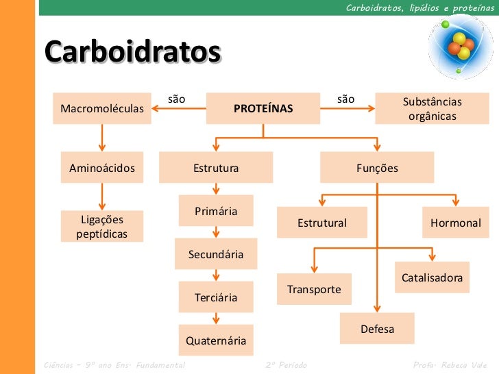 II. 2 Carboidratos, lipídios e proteínas