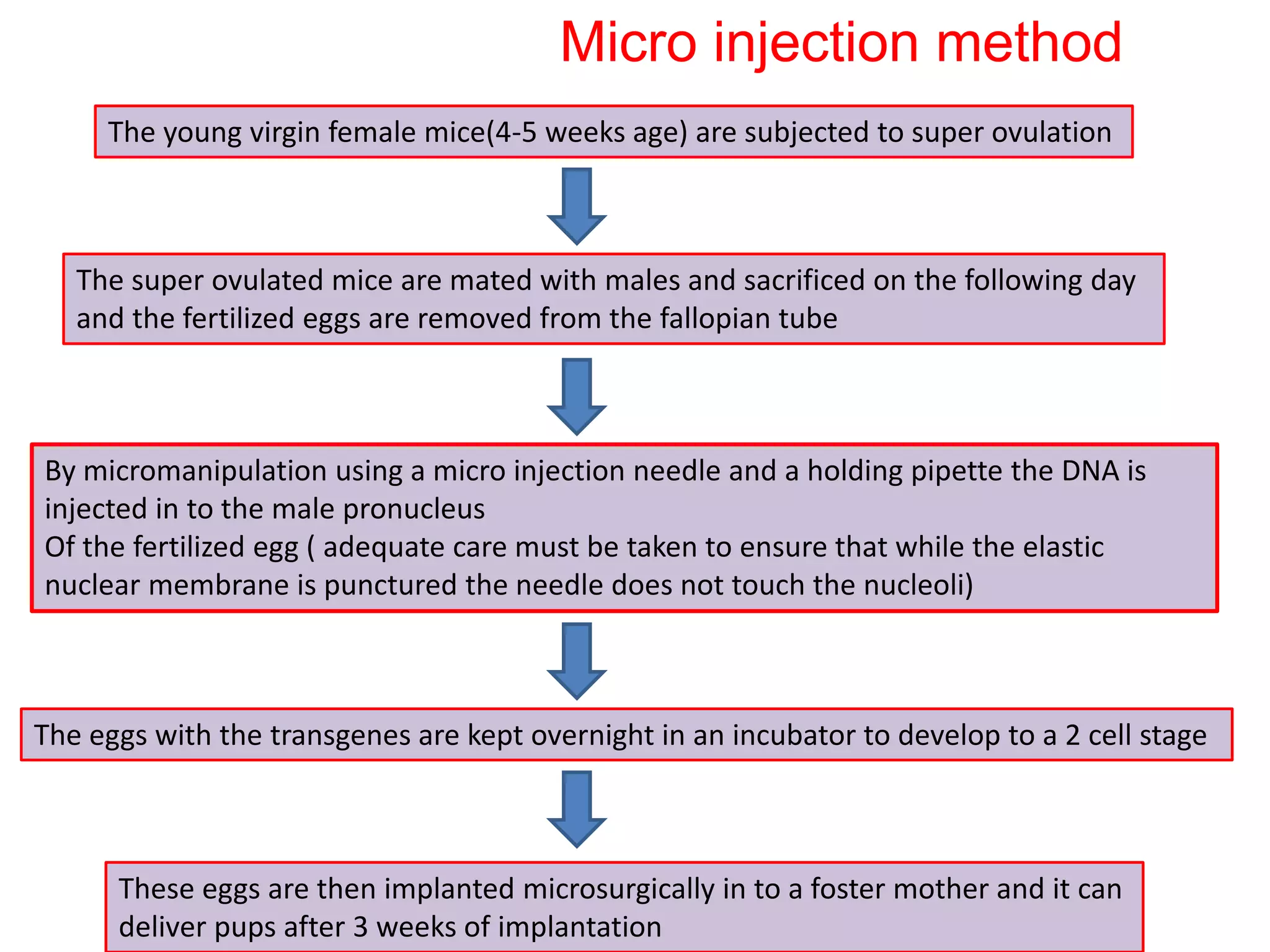 transgenic animals with desired traits