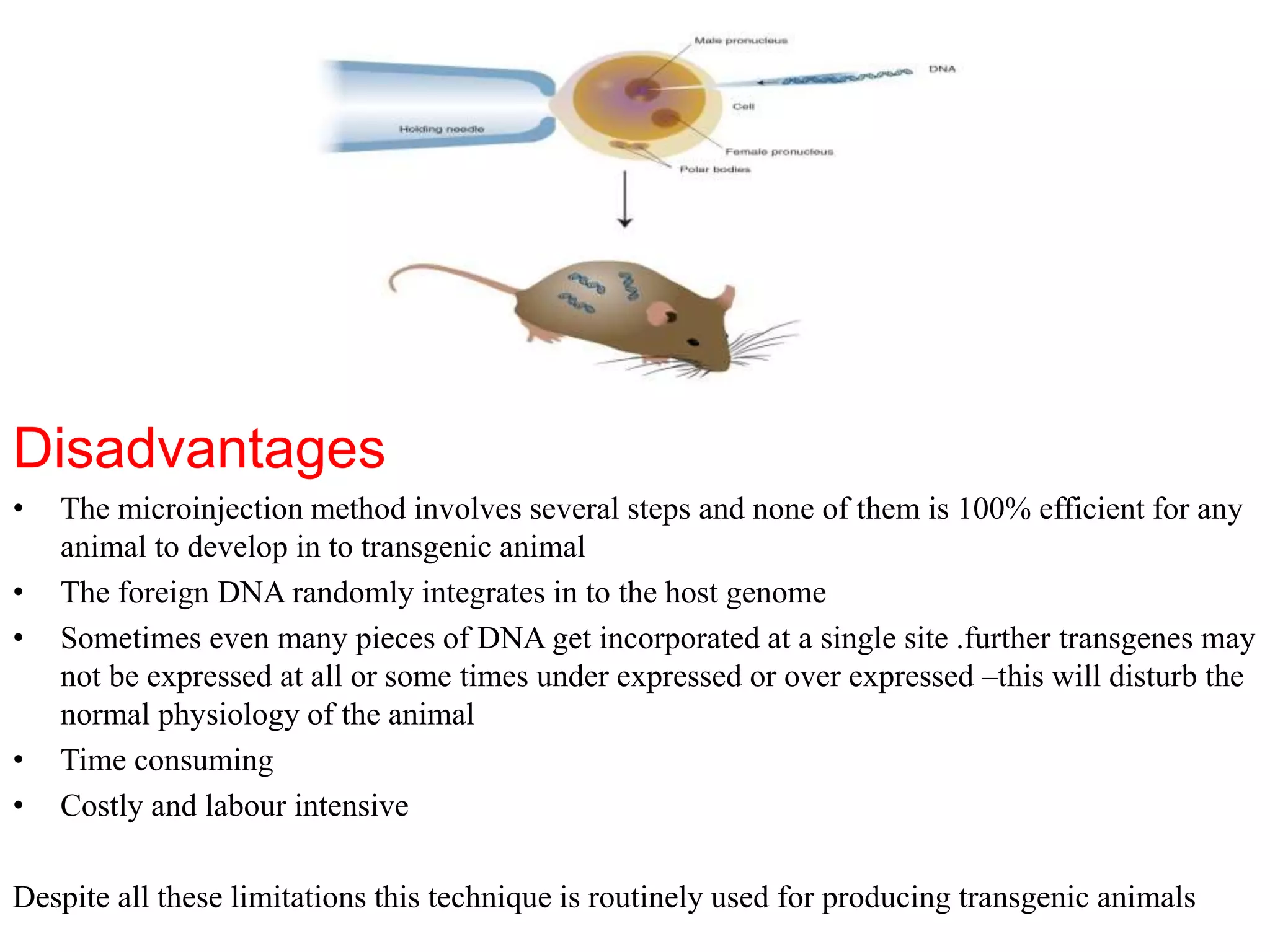 transgenic animals with desired traits