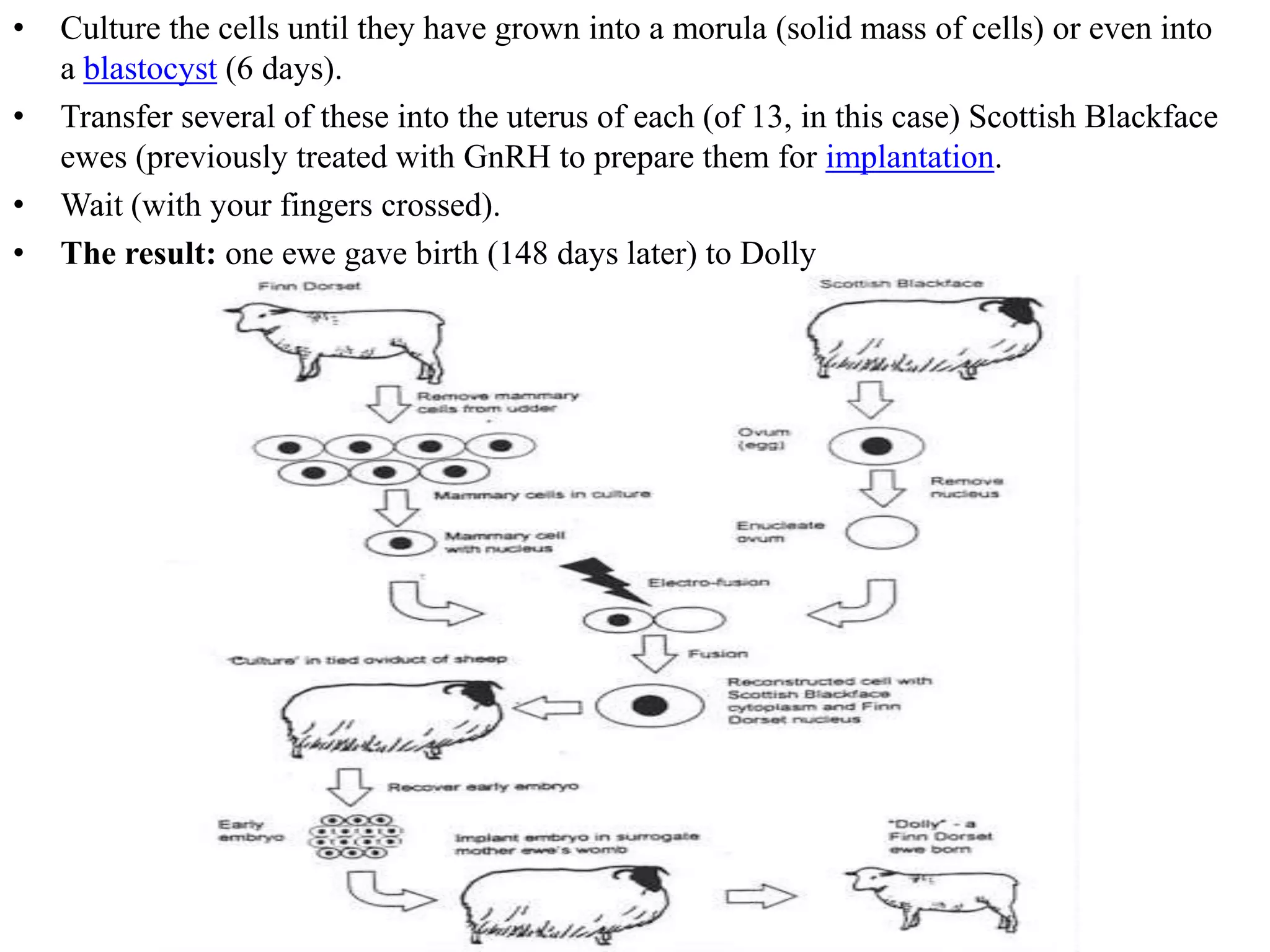 transgenic animals with desired traits