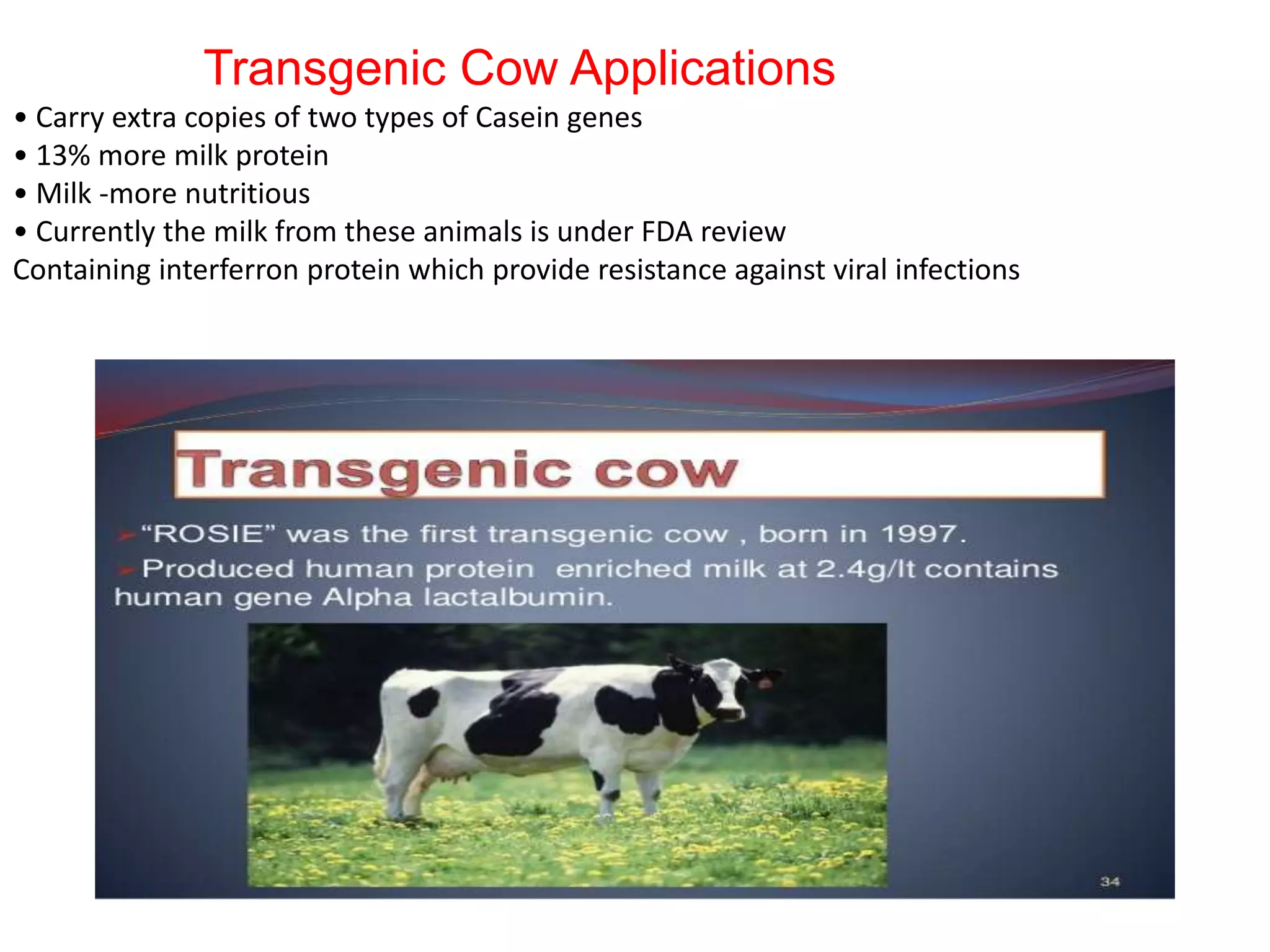 transgenic animals with desired traits