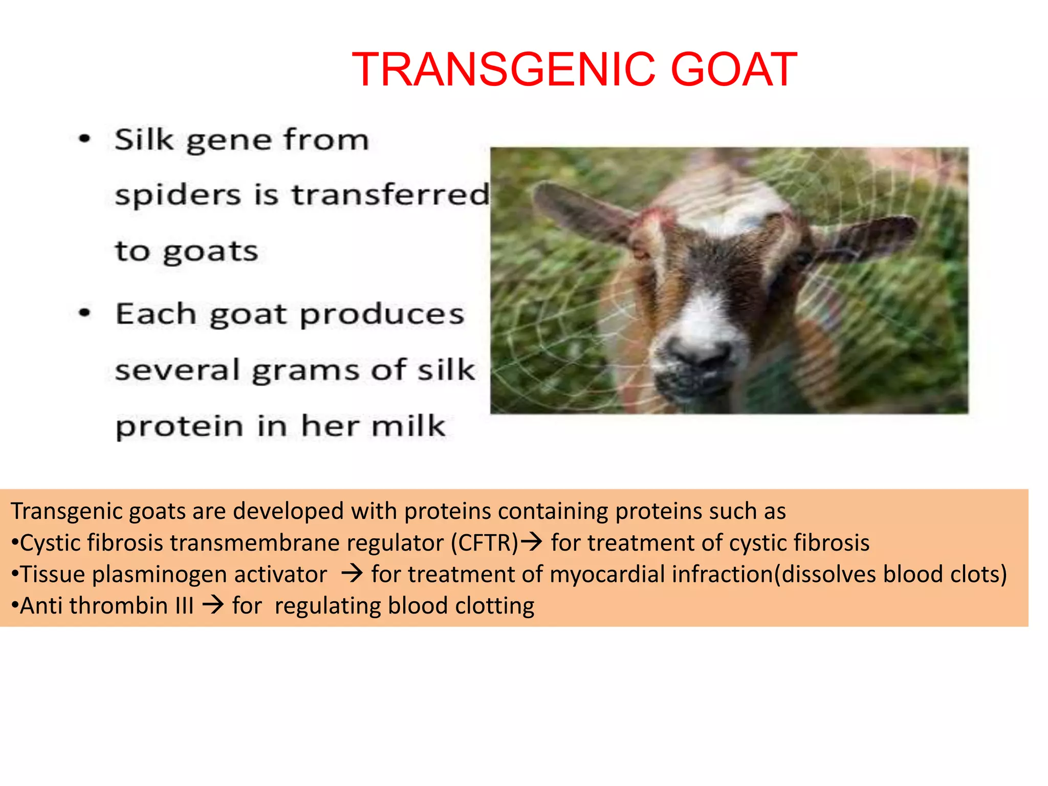 transgenic animals with desired traits