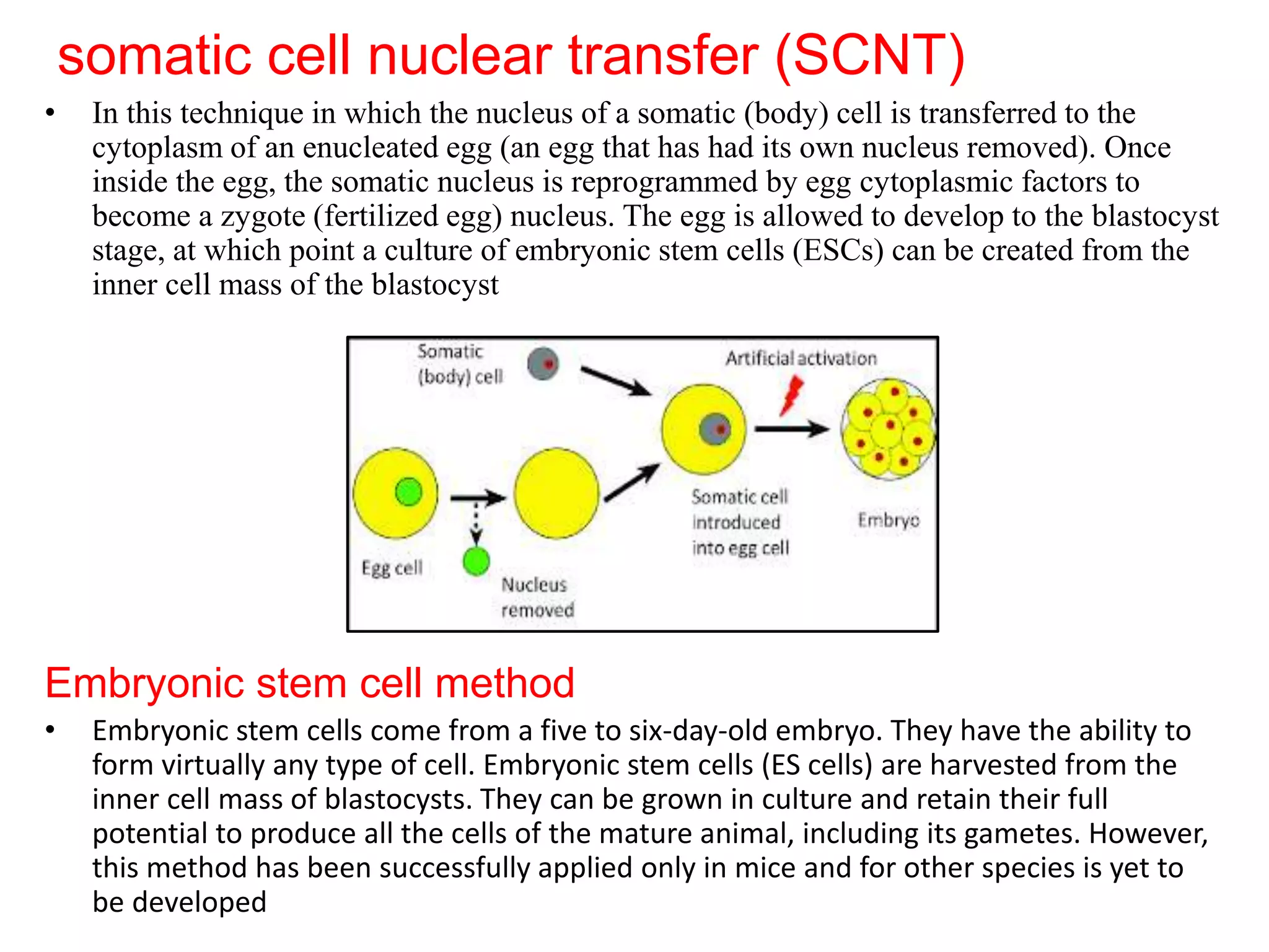 transgenic animals with desired traits