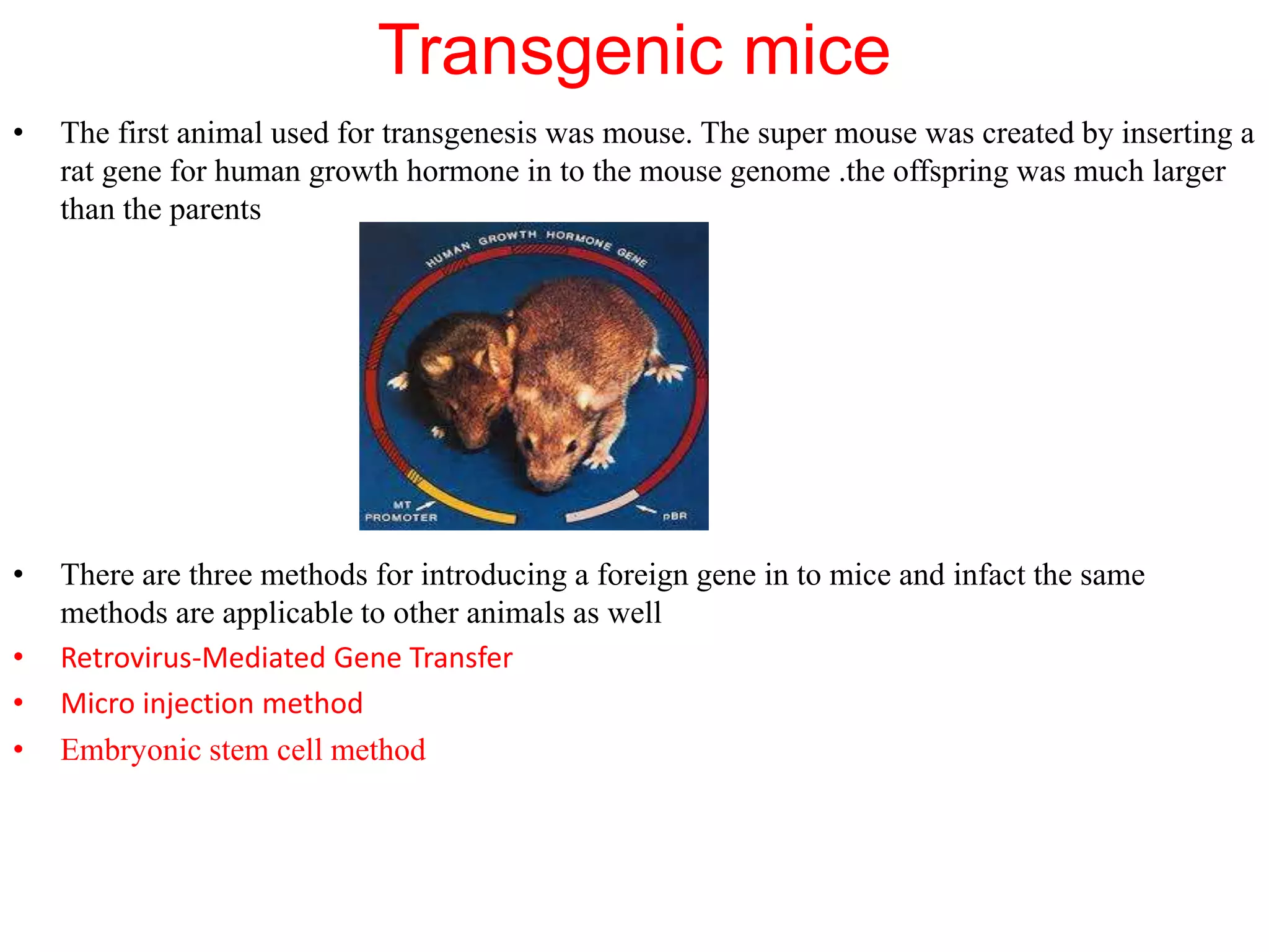 transgenic animals with desired traits