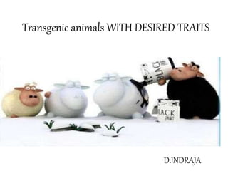Transgenic animals WITH DESIRED TRAITS
D.INDRAJA
 