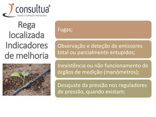 Fugas;
Observação e deteção de emissores
total ou parcialmente entupidos;
Inexistência ou não funcionamento de
órgãos de medição (manómetros);
Desajuste da pressão nos reguladores
de pressão, quando existam;
Rega
localizada
Indicadores
de melhoria
 