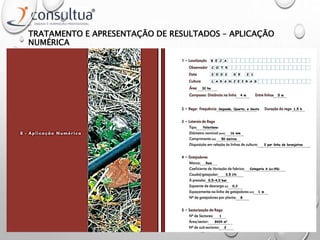 TRATAMENTO E APRESENTAÇÃO DE RESULTADOS – APLICAÇÃO
NUMÉRICA
 
