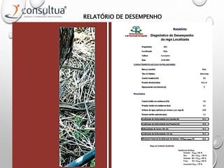 RELATÓRIO DE DESEMPENHO
 