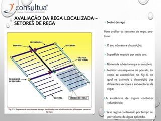 AVALIAÇÃO DA REGA LOCALIZADA –
SETORES DE REGA
 