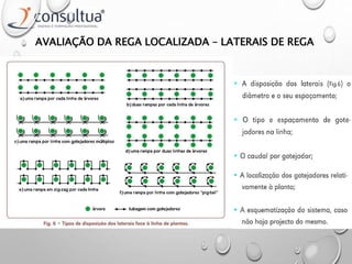 AVALIAÇÃO DA REGA LOCALIZADA – LATERAIS DE REGA
 