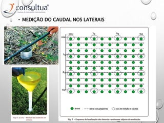 • MEDIÇÃO DO CAUDAL NOS LATERAIS
 