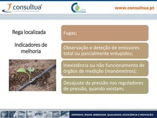 Fugas;
Observação e deteção de emissores
total ou parcialmente entupidos;
Inexistência ou não funcionamento de
órgãos de medição (manómetros);
Desajuste da pressão nos reguladores
de pressão, quando existam;
Rega localizada
Indicadores de
melhoria
 