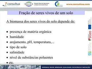 A biomassa dos seres vivos do solo depende de:
 presença de matéria orgânica
 humidade
 arejamento, pH, temperatura,...
 tipo de solo
 salinidade
 nível de substâncias poluentes
 etc.
Fração de seres vivos de um solo
 
