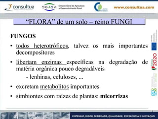 FUNGOS
• todos heterotróficos, talvez os mais importantes
decompositores
• libertam enzimas específicas na degradação de
matéria orgânica pouco degradáveis
- lenhinas, celuloses, ...
• excretam metabolitos importantes
• simbiontes com raízes de plantas: micorrizas
“FLORA” de um solo – reino FUNGI
 