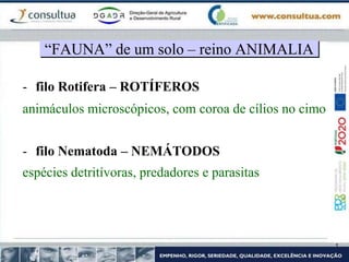 - filo Rotifera – ROTÍFEROS
animáculos microscópicos, com coroa de cílios no cimo
- filo Nematoda – NEMÁTODOS
espécies detritívoras, predadores e parasitas
“FAUNA” de um solo – reino ANIMALIA
 