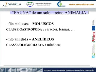 - filo mollusca – MOLUSCOS
CLASSE GASTROPODA : caracóis, lesmas, …
- filo annelida – ANELÍDEOS
CLASSE OLIGOCHAETA : minhocas
“FAUNA” de um solo – reino ANIMALIA
 