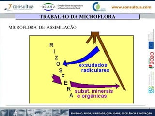 MICROFLORA DE ASSIMILAÇÃO
TRABALHO DA MICROFLORA
 
