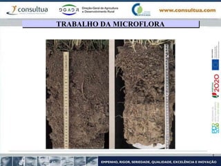 TRABALHO DA MICROFLORA
 
