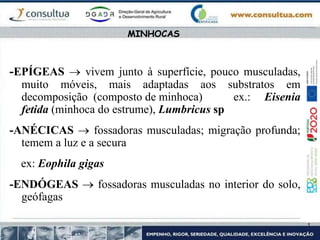 -EPÍGEAS  vivem junto à superfície, pouco musculadas,
muito móveis, mais adaptadas aos substratos em
decomposição (composto de minhoca) ex.: Eisenia
fetida (minhoca do estrume), Lumbricus sp
-ANÉCICAS  fossadoras musculadas; migração profunda;
temem a luz e a secura
ex: Eophila gigas
-ENDÓGEAS  fossadoras musculadas no interior do solo,
geófagas
MINHOCAS
 